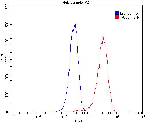 19777-1-AP;HepG2 cells