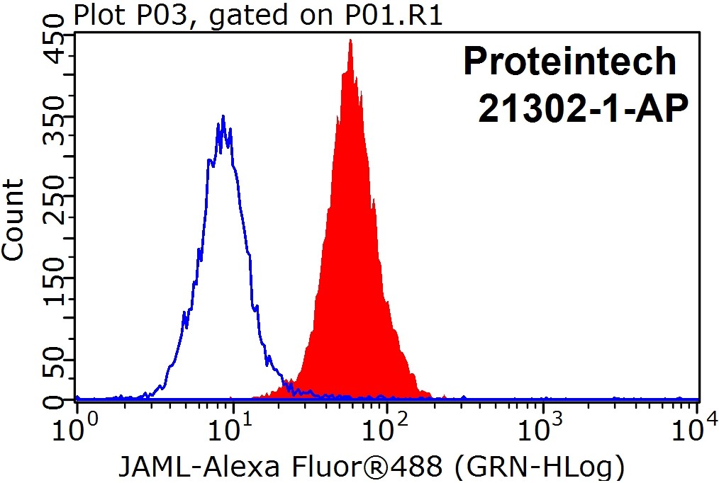 21302-1-AP;HeLa cells