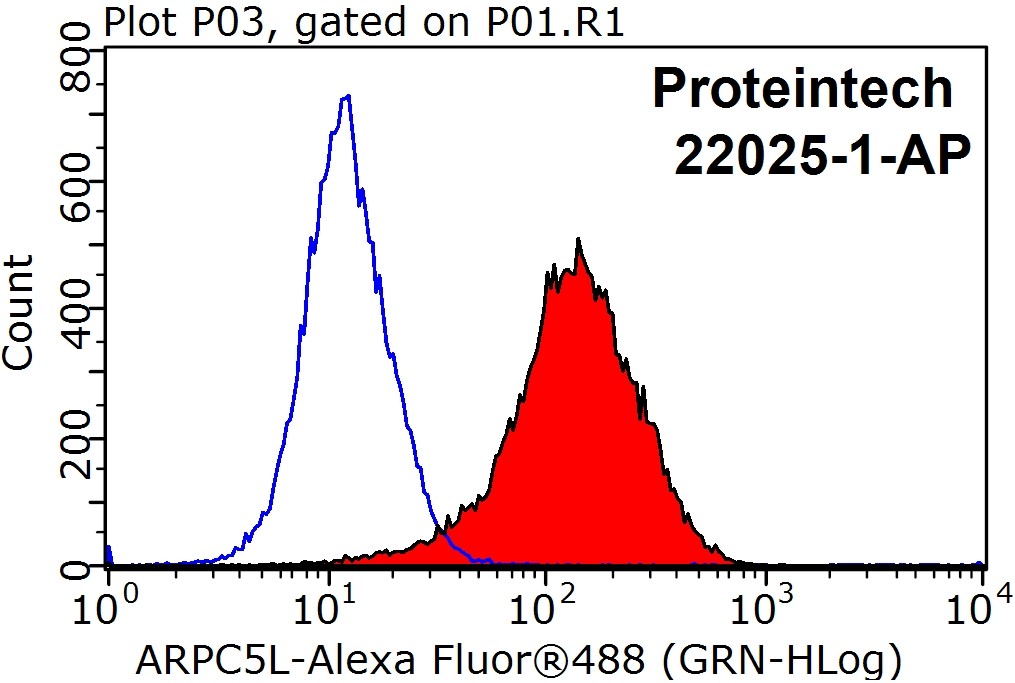 22025-1-AP;MCF-7 cells