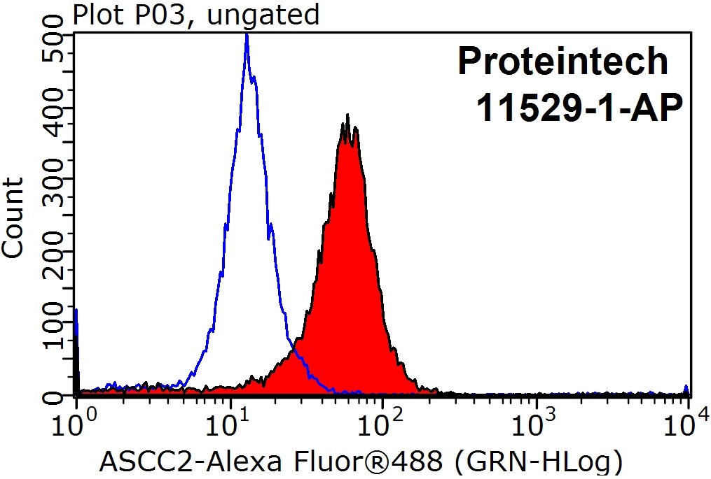 11529-1-AP;HepG2 cells