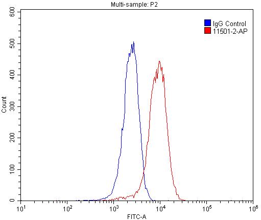 11501-2-AP;HepG2 cells