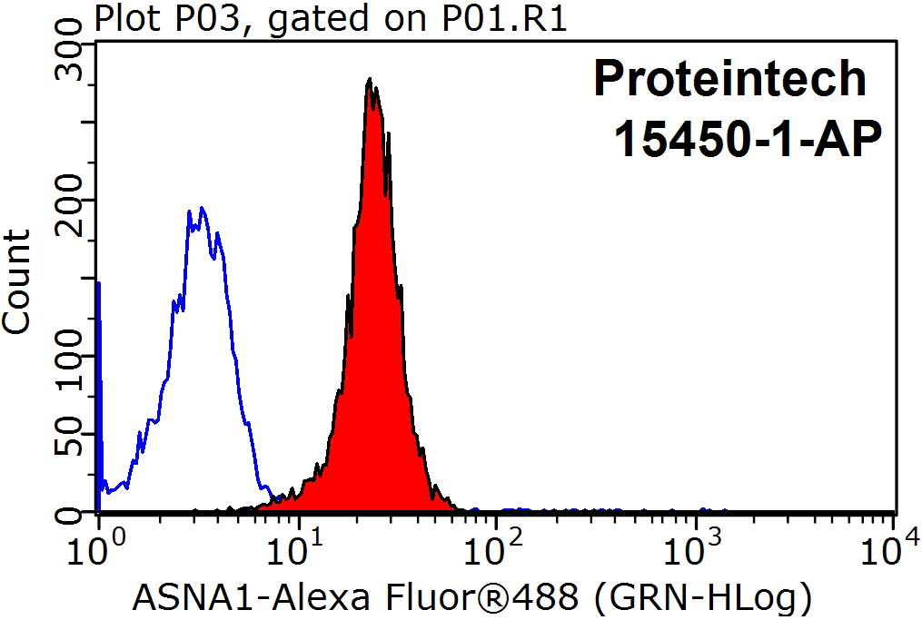 15450-1-AP;HepG2 cells