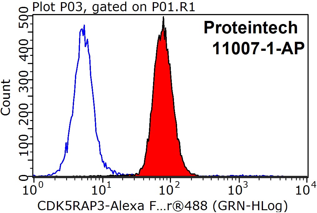 11007-1-AP;HepG2 cells