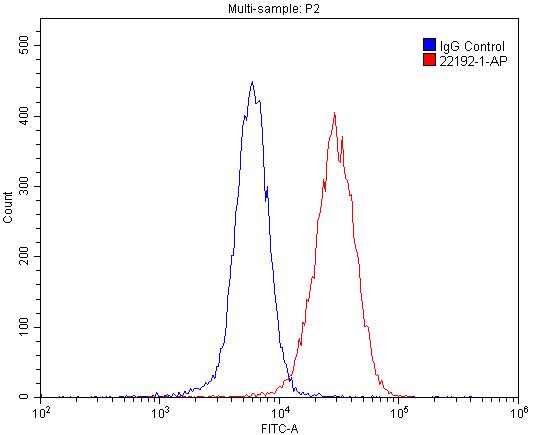 22192-1-AP;SH-SY5Y cells