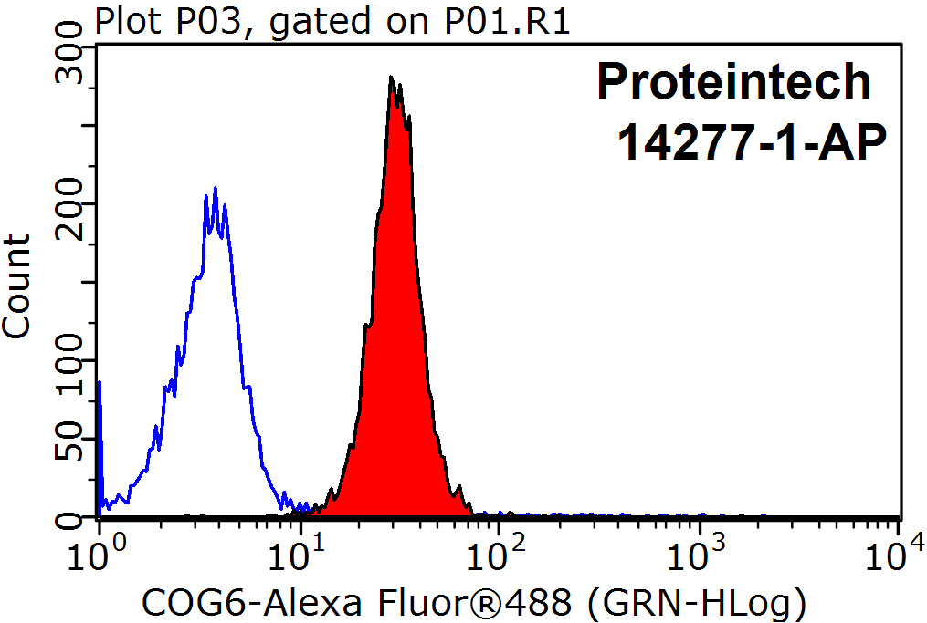 14277-1-AP;MCF-7 cells