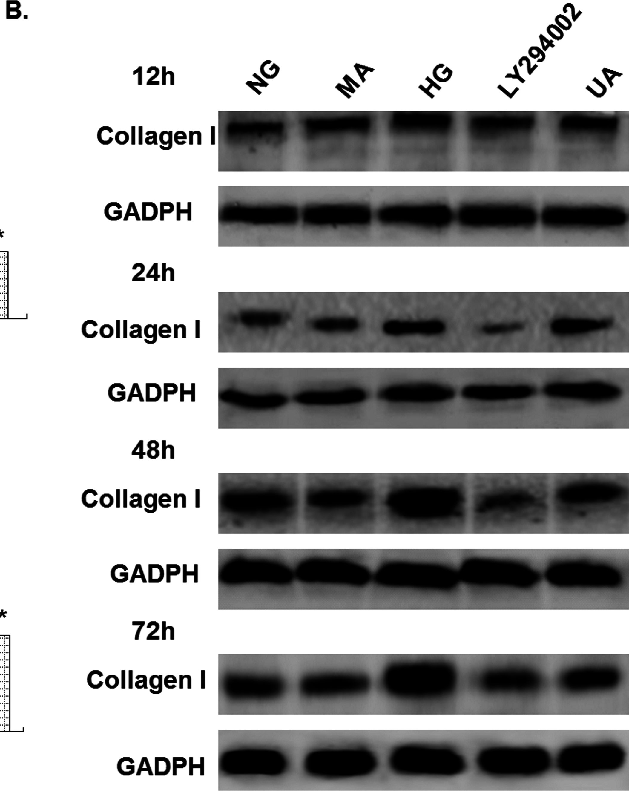 Collagen Type I Antibody Ap Proteintech