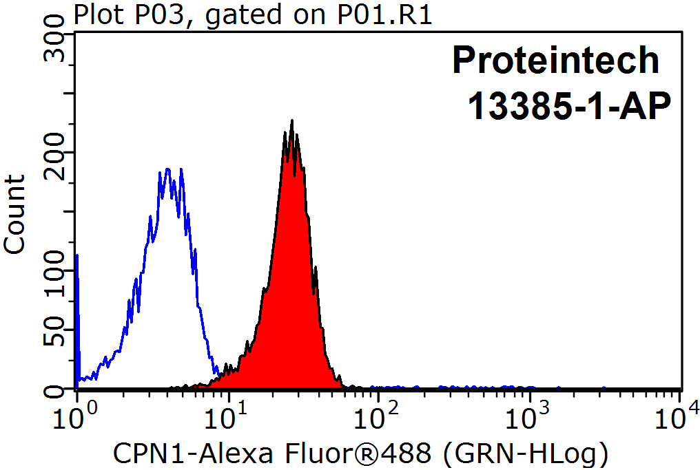 13385-1-AP;HeLa cells