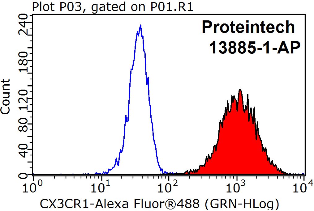 13885-1-AP;K-562 cells