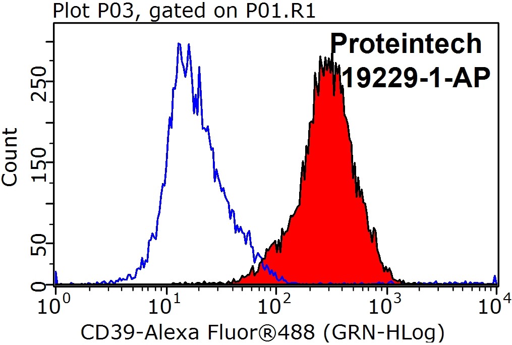 19229-1-AP;Jurkat cells