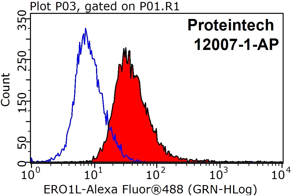 12007-1-AP;HeLa cells