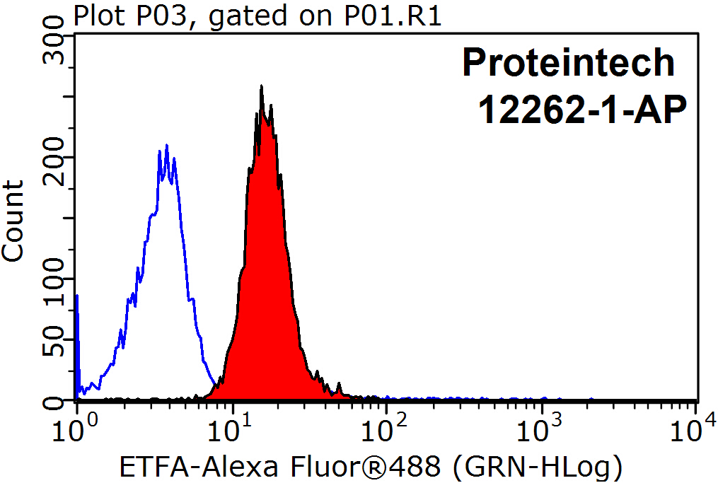 12262-1-AP;MCF-7 cells