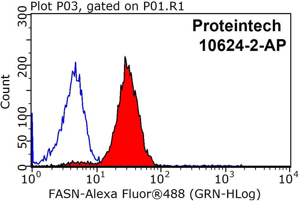 10624-2-AP;HeLa cells