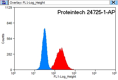 24725-1-AP;HeLa cells