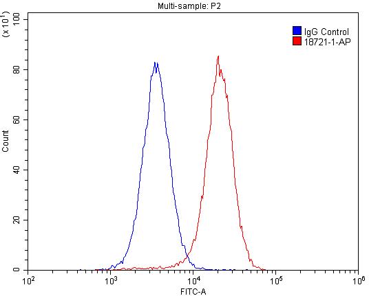 18721-1-AP;HepG2 cells