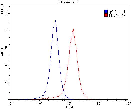 14104-1-AP;SH-SY5Y cells