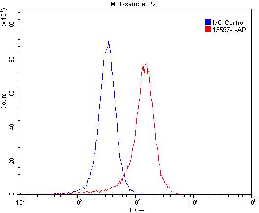 13597-1-AP;SH-SY5Y cells