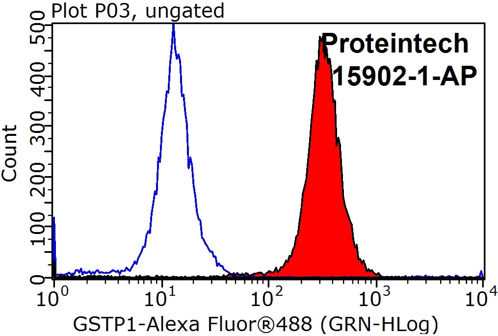 15902-1-AP;HepG2 cells