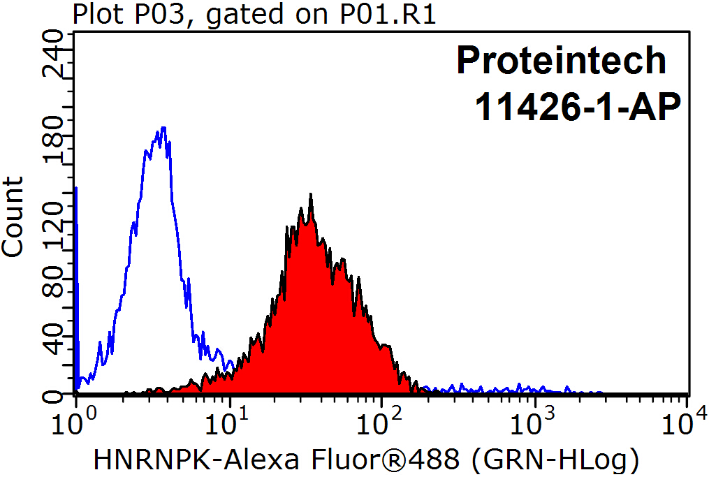 11426-1-AP;HepG2 cells