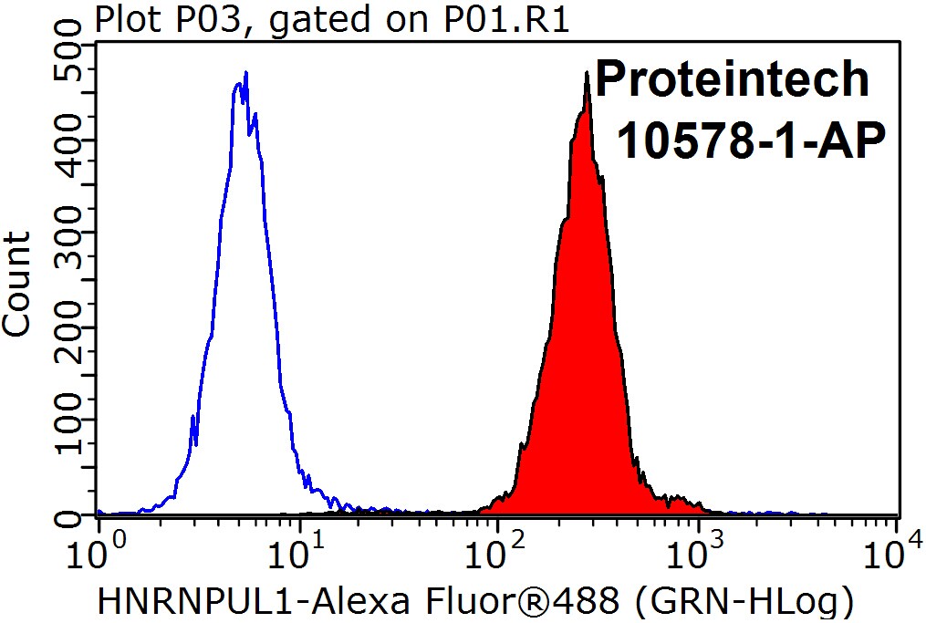 10578-1-AP;HepG2 cells