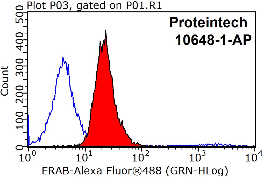 10648-1-AP;MCF-7 cells