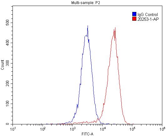 20253-1-AP;HepG2 cells