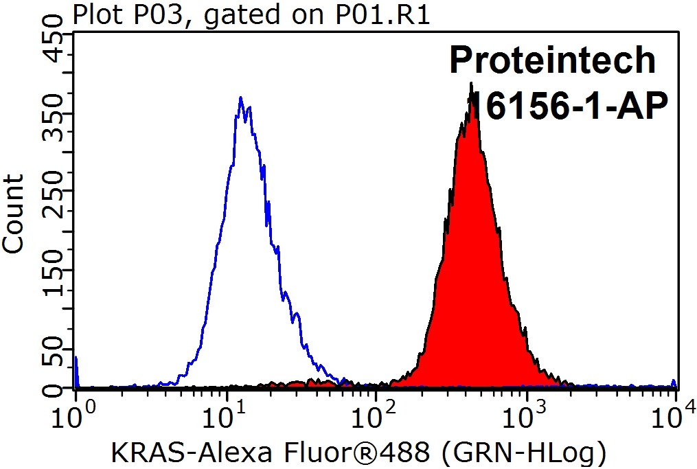 16156-1-AP;HeLa cells