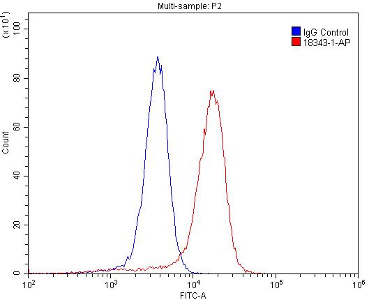 18343-1-AP;A431 cells