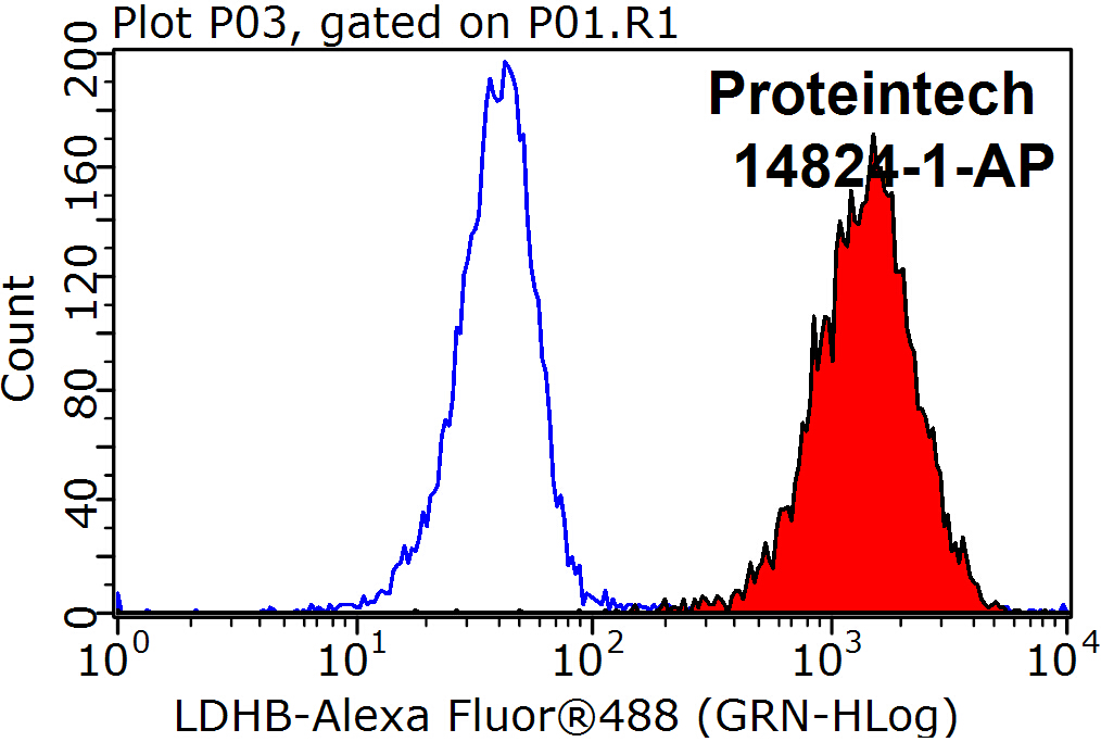 14824-1-AP;HeLa cells