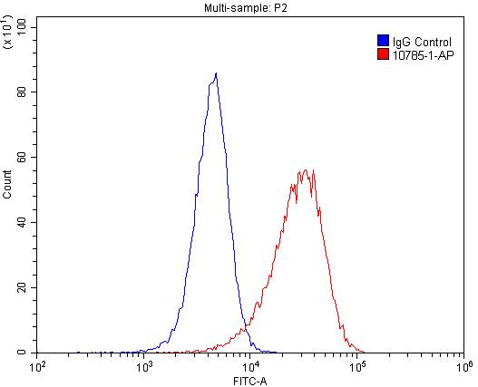 10785-1-AP;HeLa cells