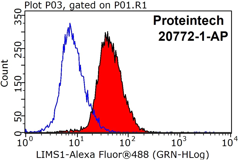 20772-1-AP;HeLa cells