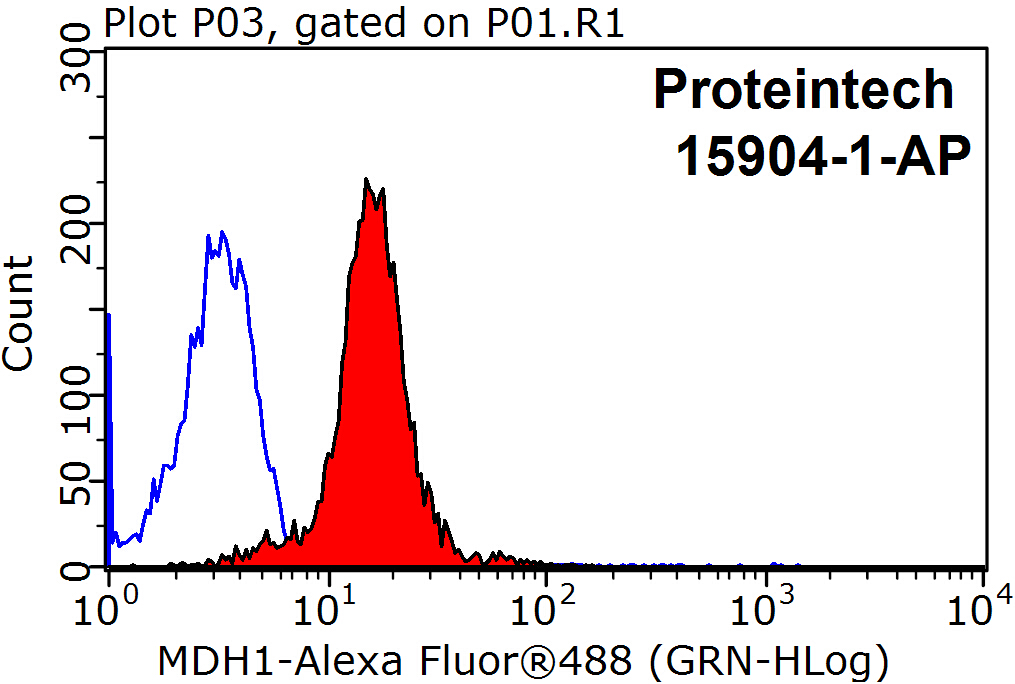 15904-1-AP;HepG2 cells