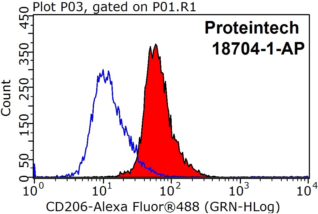 18704-1-AP;RAW 264.7 cells