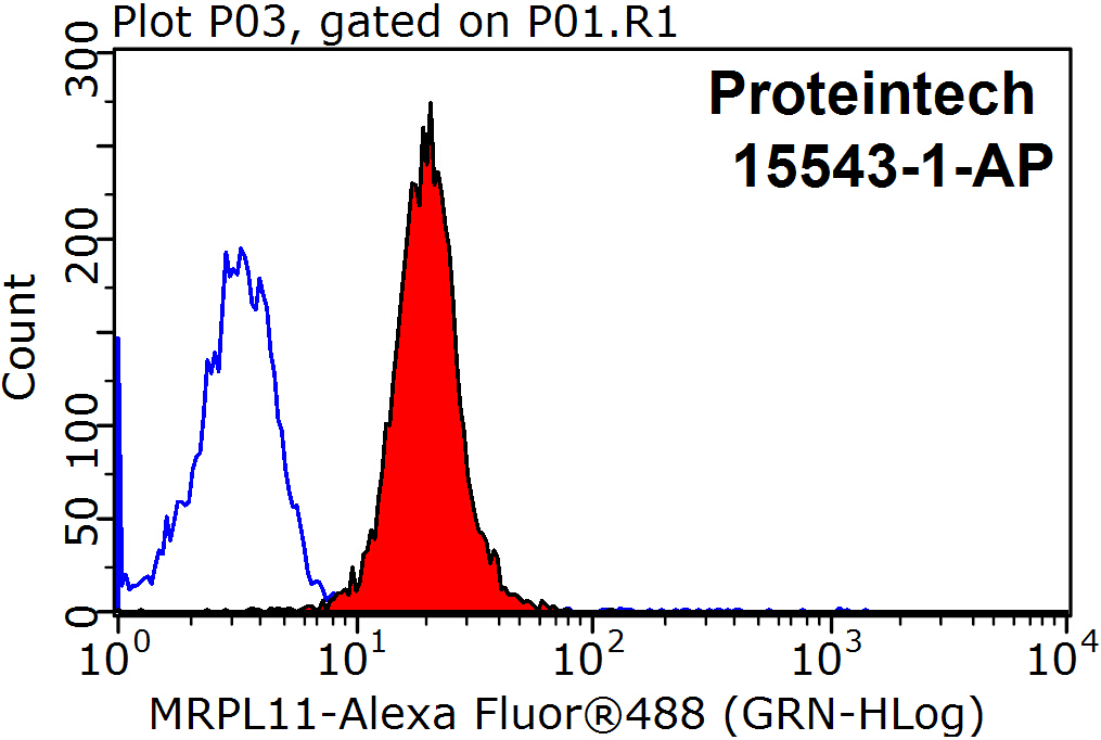 15543-1-AP;HepG2 cells