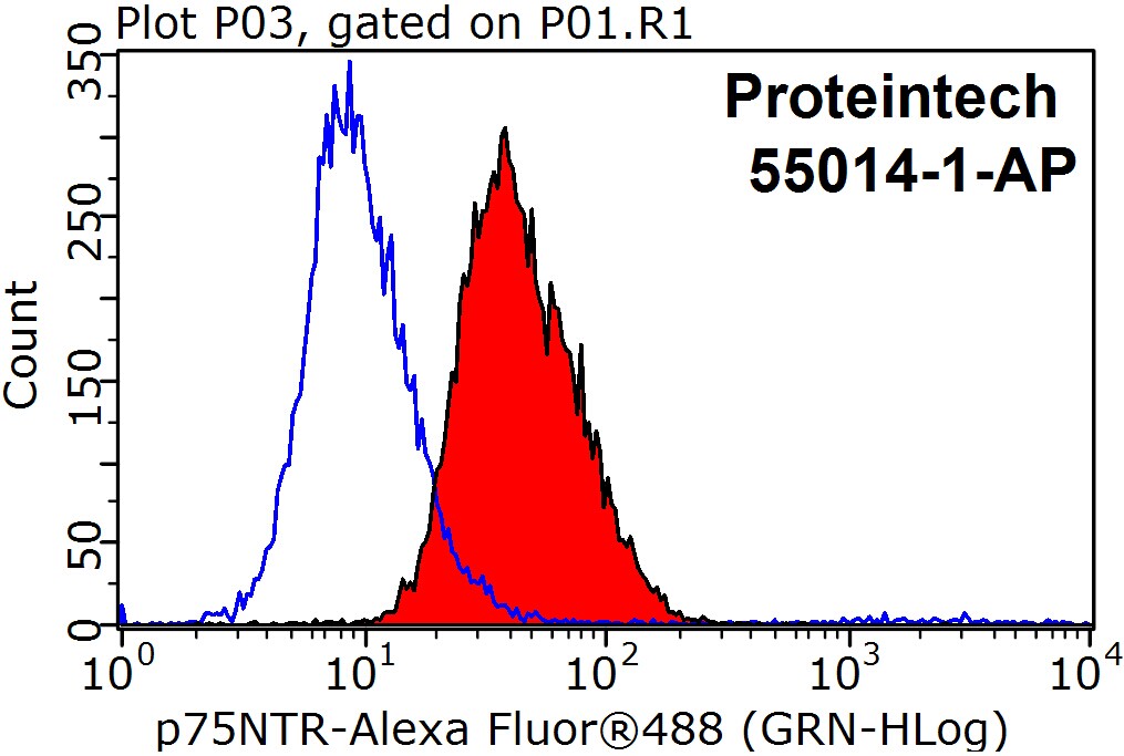 55014-1-AP;SH-SY5Y cells