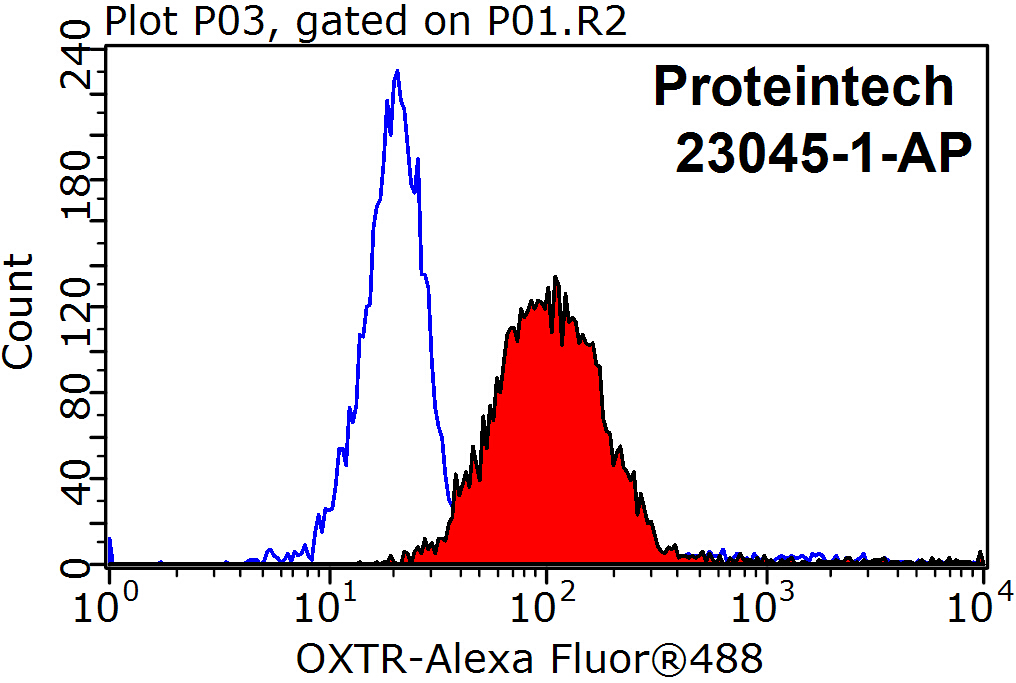 23045-1-AP;Jurkat cells