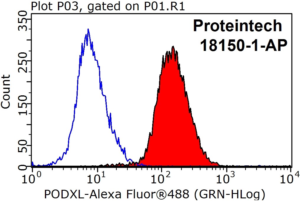 18150-1-AP;HeLa cells