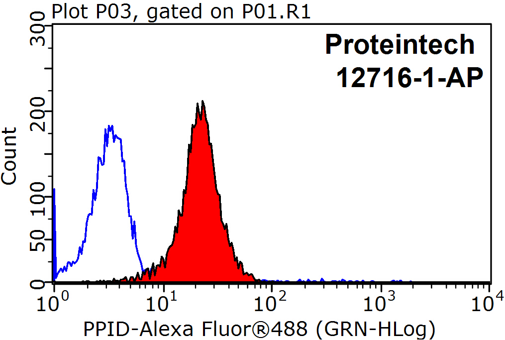 12716-1-AP;HeLa cells