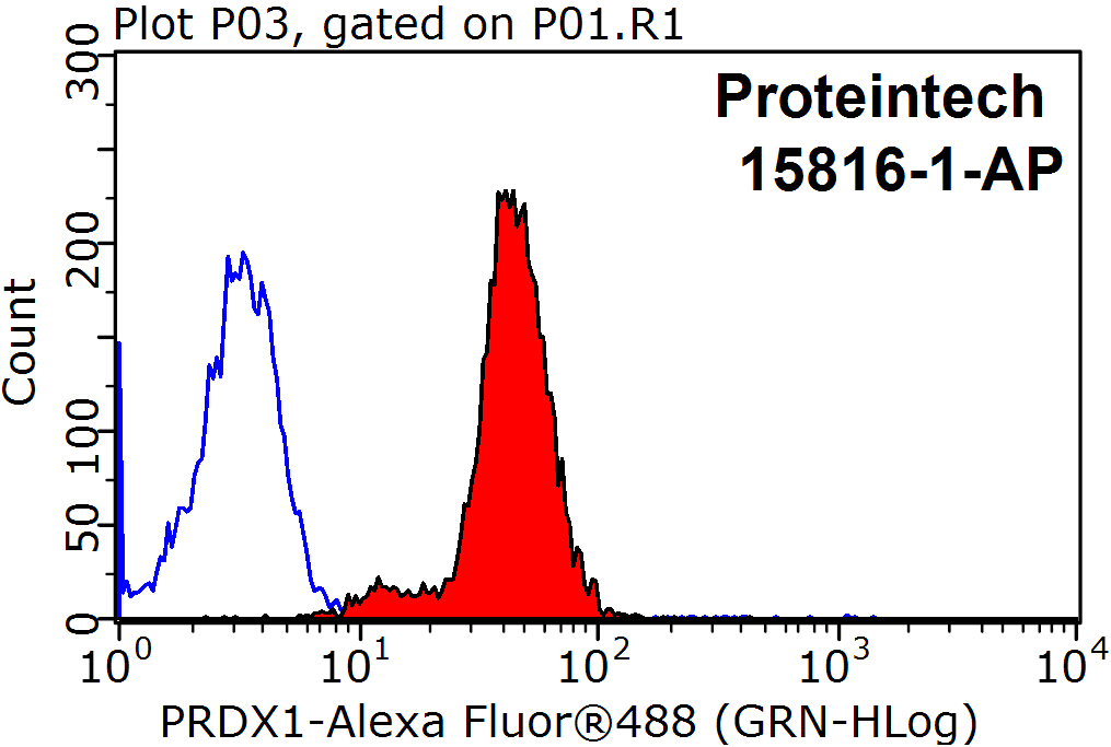 15816-1-AP;HepG2 cells