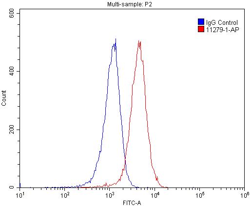 11279-1-AP;Raji cells