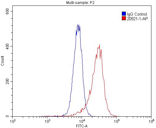 20921-1-AP;HL-60 cells