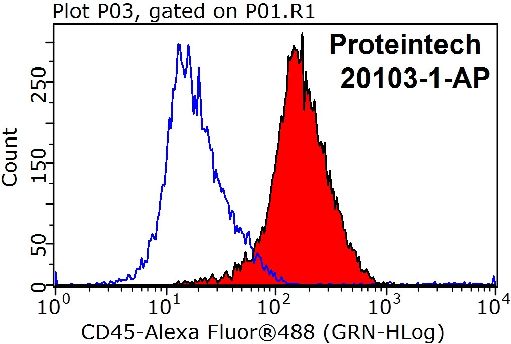 20103-1-AP;Jurkat cells