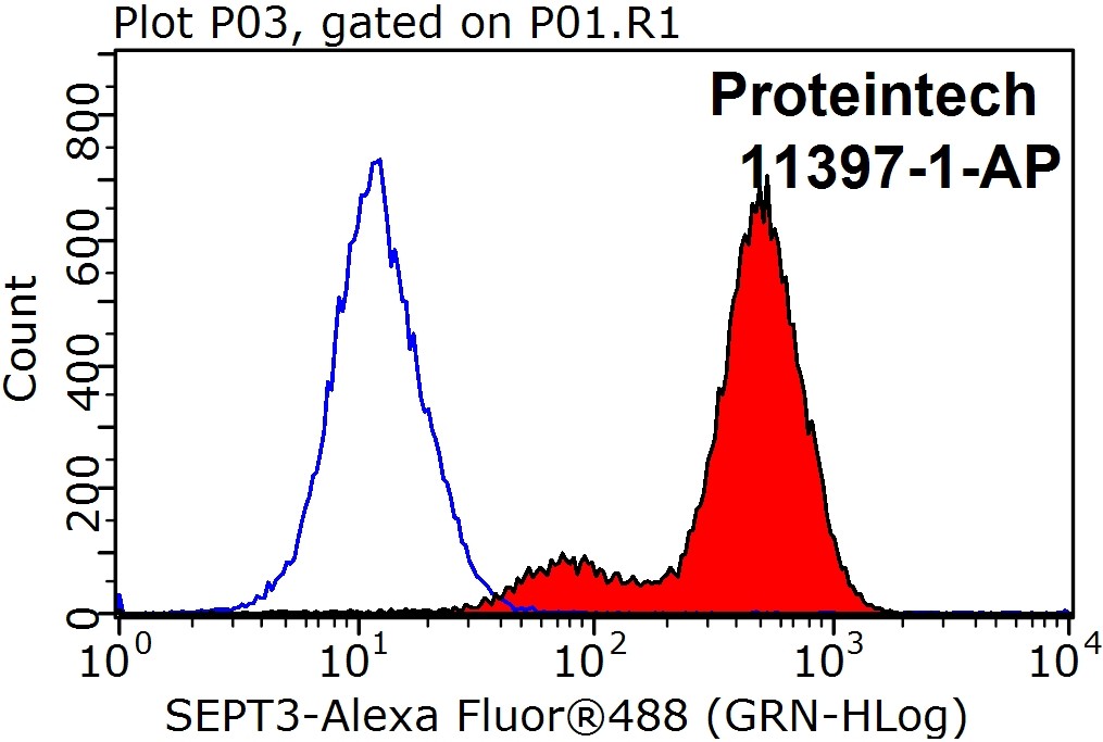 11397-1-AP;MCF-7 cells