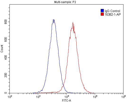 16382-1-AP;HepG2 cells