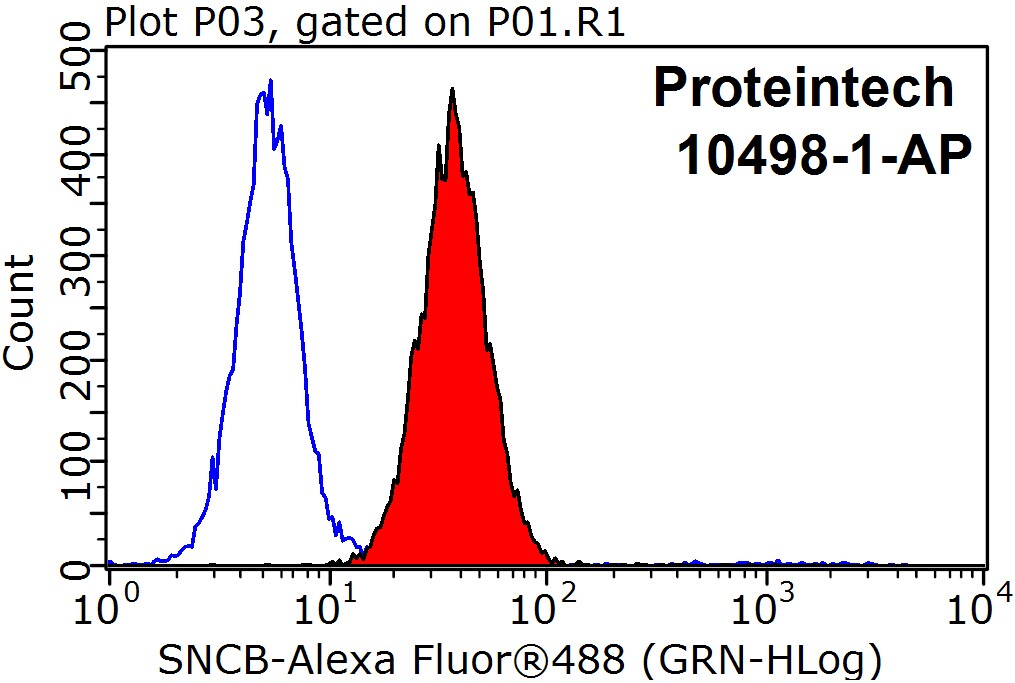 10498-1-AP;HepG2 cells