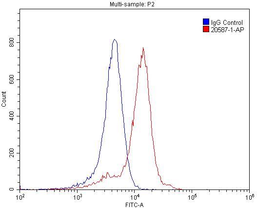 20587-1-AP;SH-SY5Y cells