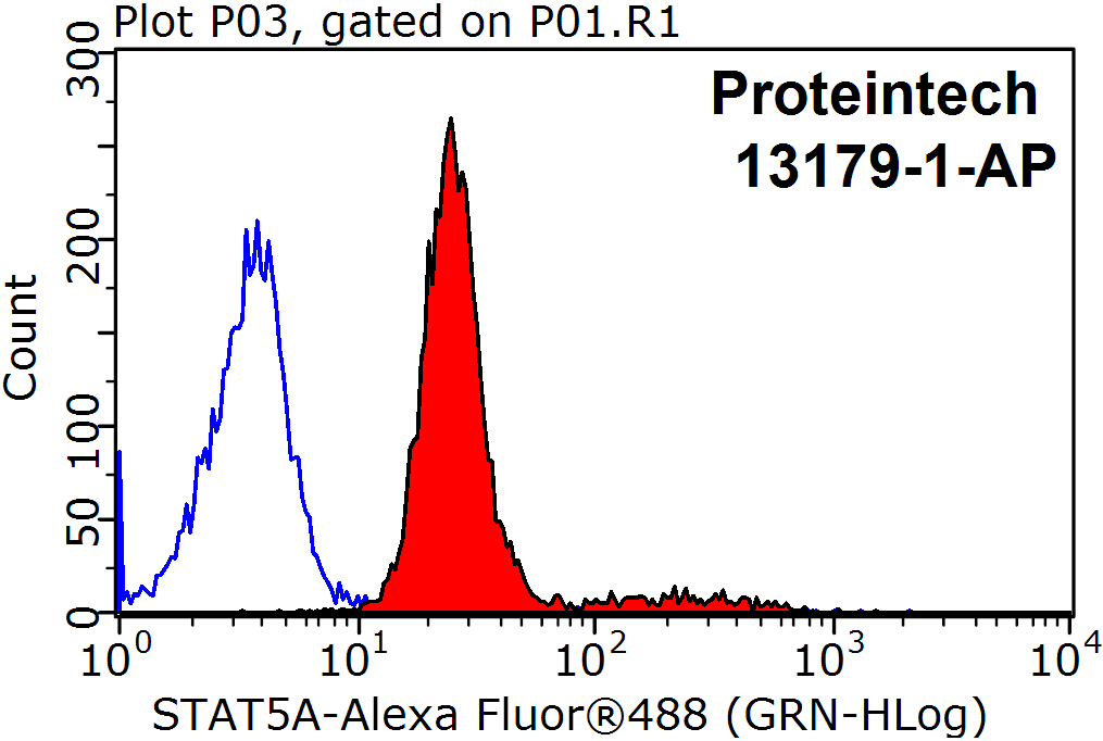 13179-1-AP;MCF-7 cells