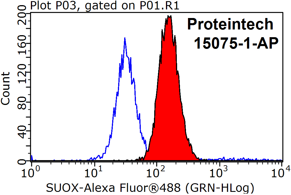 15075-1-AP;HeLa cells