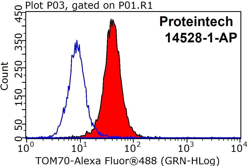 14528-1-AP;HeLa cells