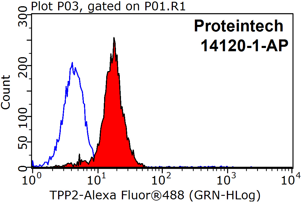 14120-1-AP;HepG2 cells