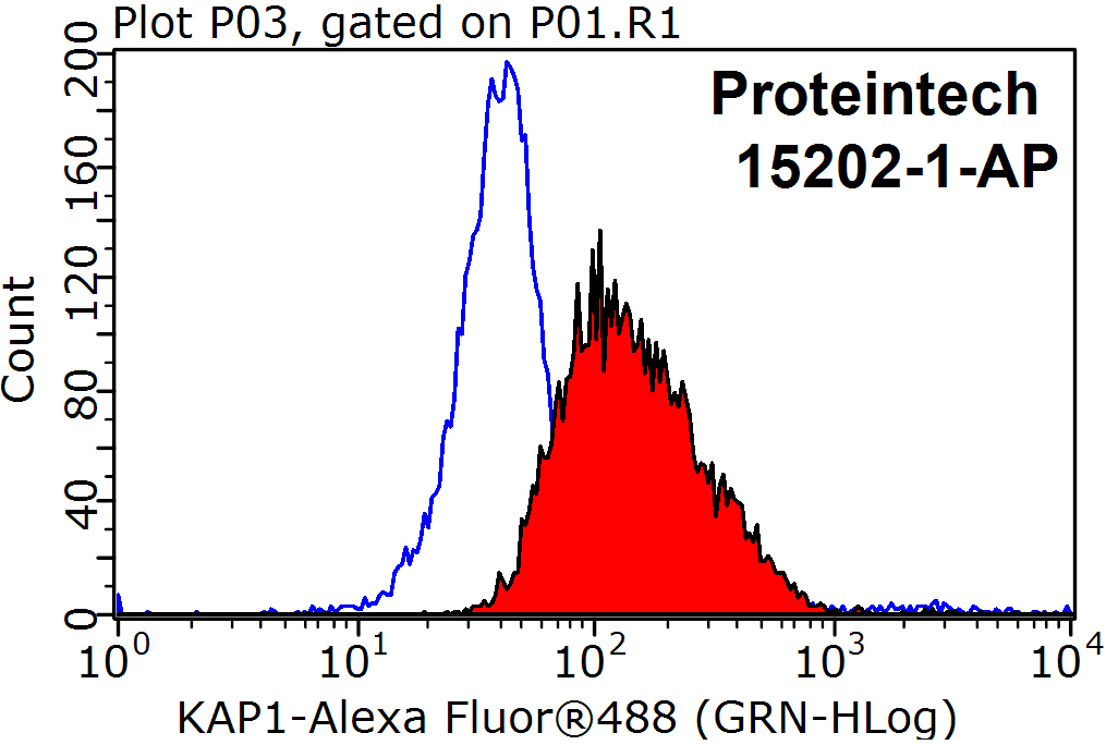 15202-1-AP;HeLa cells